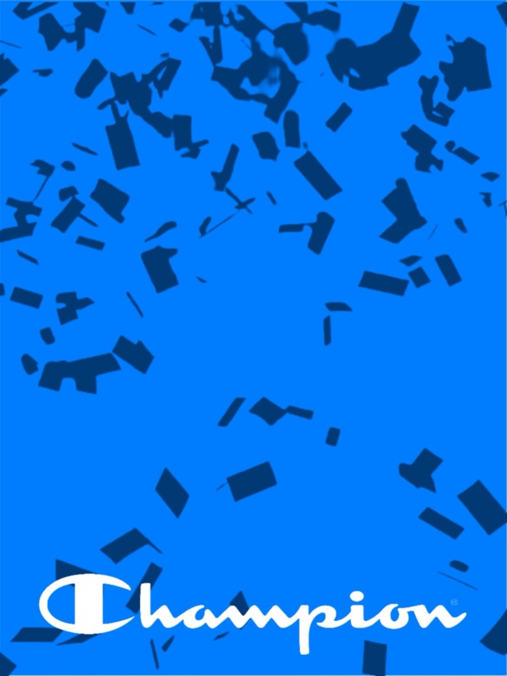 CHAMPION Shorts Zip Hoodie